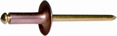 Standard rivet Cu/Brass, large head